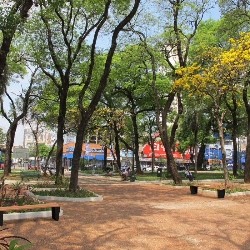 Montgo